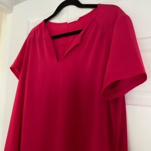 Raspberry Shift Dress